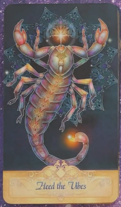 Seeker Oracle